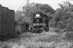 SOU 5094 in high grass